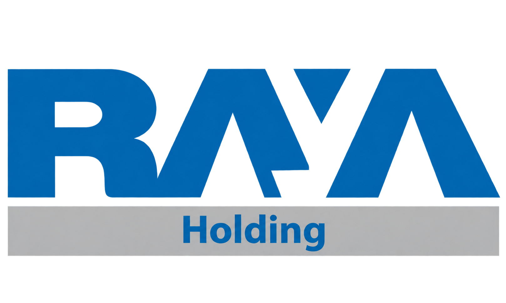 Raya Holding
